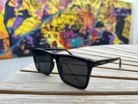 T1001 Sunglasses